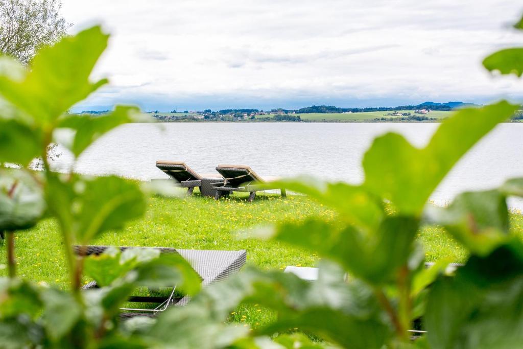 Hotel Seebrunn am Wallersee Henndorf am Wallersee Eksteriør bilde