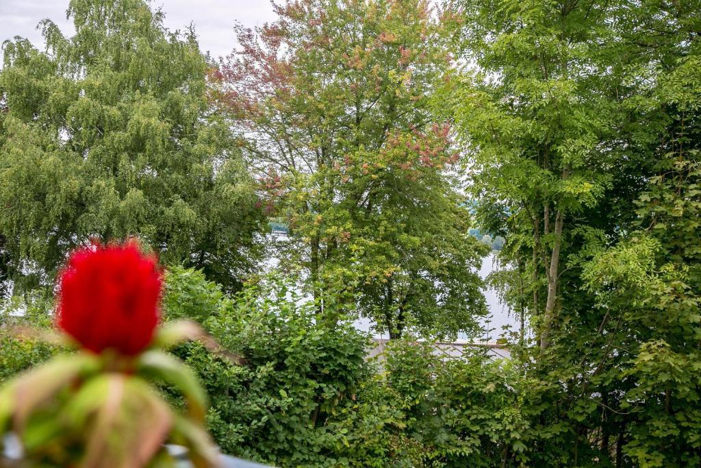 Hotel Seebrunn am Wallersee Henndorf am Wallersee Eksteriør bilde